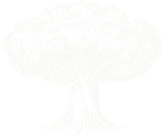 AliYah Academy tree logo