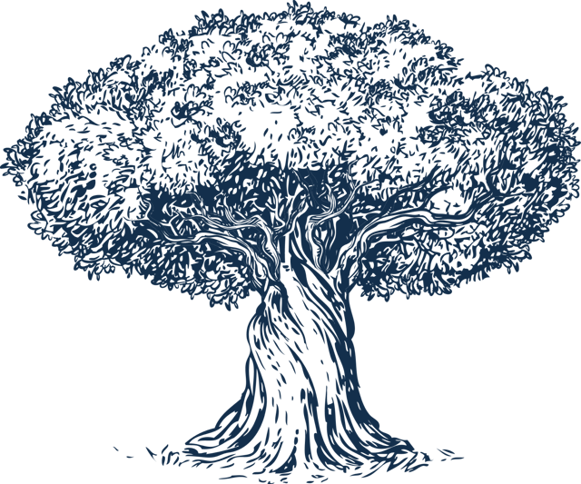 AliYah Academy tree logo